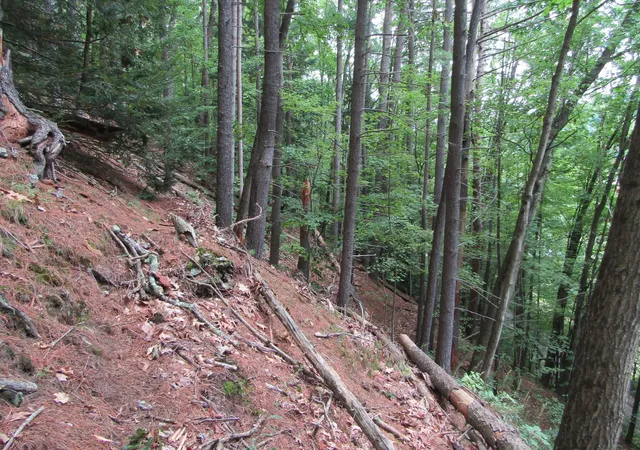 5th image of 00 Mill St, Haverhill, NH 03785 | MLS# 5106547