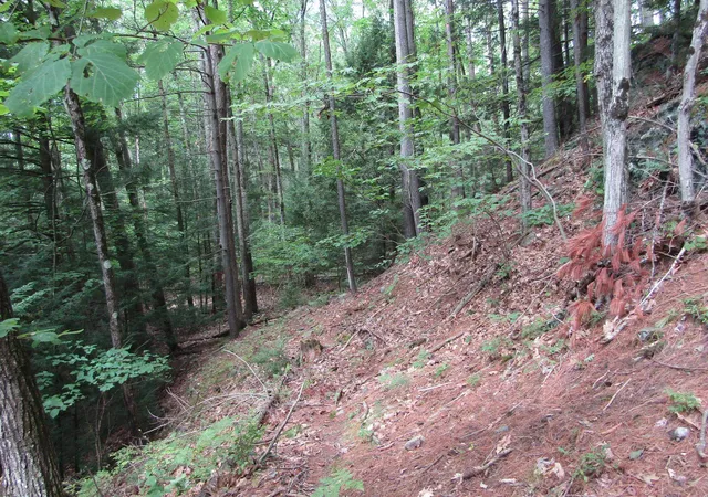6th image of 00 Mill St, Haverhill, NH 03785 | MLS# 5106547