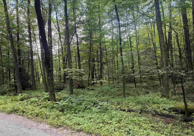 Land for sale at Anderson Rd, Grafton, VT 05146 | MLS# 5106592
