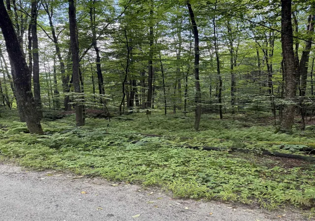 Photo 2 of Land for sale at Anderson Rd, Grafton, VT 05146 | MLS# 5106592 | Listing updated on 2026-09-02