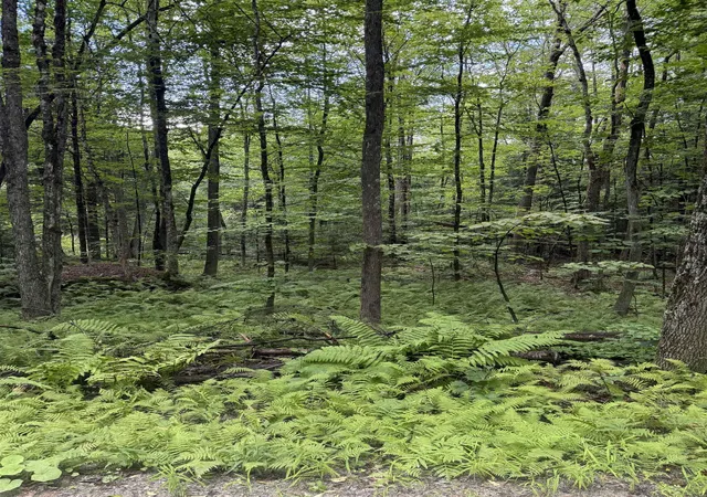 Photo 3 of Land for sale at Anderson Rd, Grafton, VT 05146 | MLS# 5106592 | Listing updated on 2026-09-02