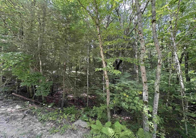 2nd image of Craig Rd, Antrim, NH 03440 | MLS# 5106746