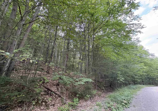Photo 3 of Land for sale at Craig Rd, Antrim, NH 03440 | MLS# 5106746 | Listing updated on 2026-09-03