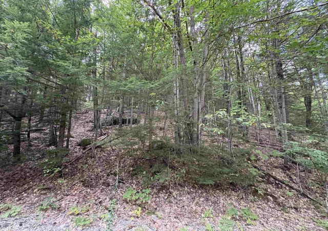 5th image of Craig Rd, Antrim, NH 03440 | MLS# 5106746