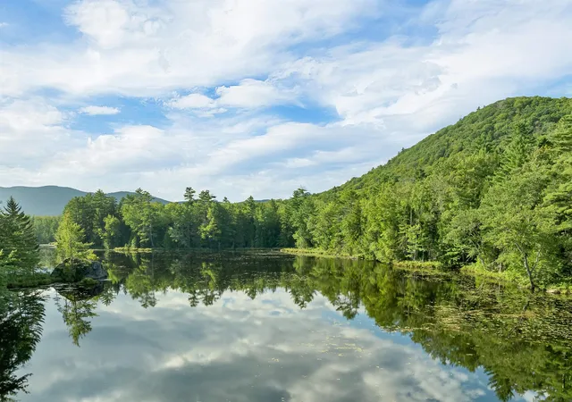 42nd image of 40 Lindsley Cir, Campton, NH 03223 | MLS# 5106855