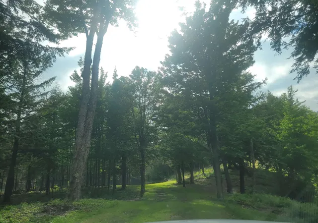 Photo 3 of Land for sale at 0 Hurricane Rd, Norton, VT 05907 | MLS# 5106857 | Listing updated on 2026-08-27