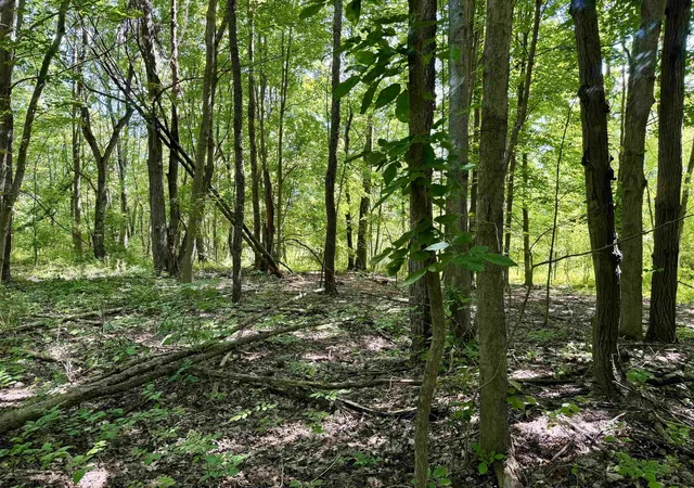 Photo 2 of Land for sale at 0 West Mountain Rd, Shaftsbury, VT 05262 | MLS# 5106931 | Listing updated on 2026-08-27
