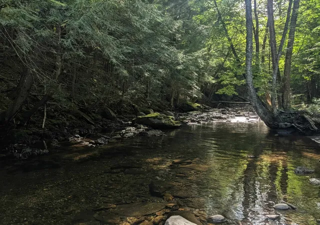 Photo 3 of Land for sale at 604 Cole Hill Rd, Morristown, VT 05661 | MLS# 5106952 | Listing updated on 2026-08-27