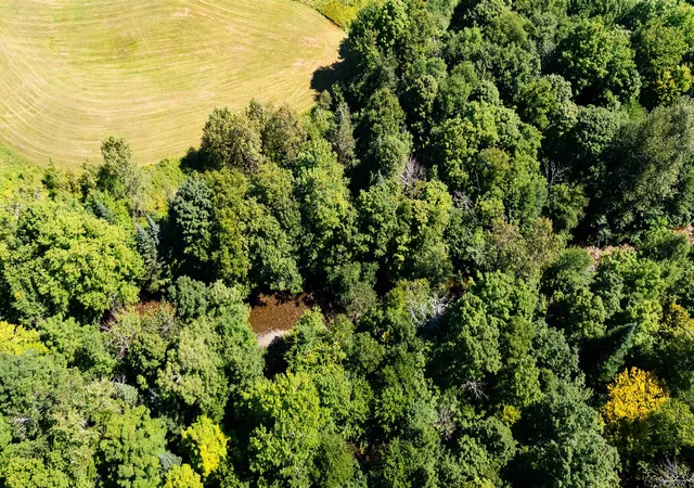 Photo 4 of Land for sale at 604 Cole Hill Rd, Morristown, VT 05661 | MLS# 5106952 | Listing updated on 2026-08-27