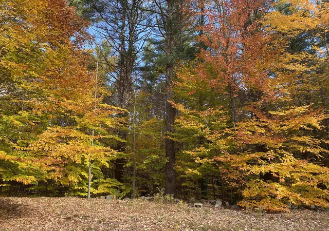 5th image of 649 Jewett Rd, Hopkinton, NH 03229 | MLS# 5106980