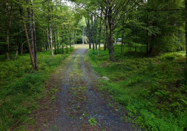 Photo 3 of Land for sale at 709 Bertha Springs Rd, Waitsfield, VT 05673 | MLS# 5107121 | Listing updated on 2026-08-28