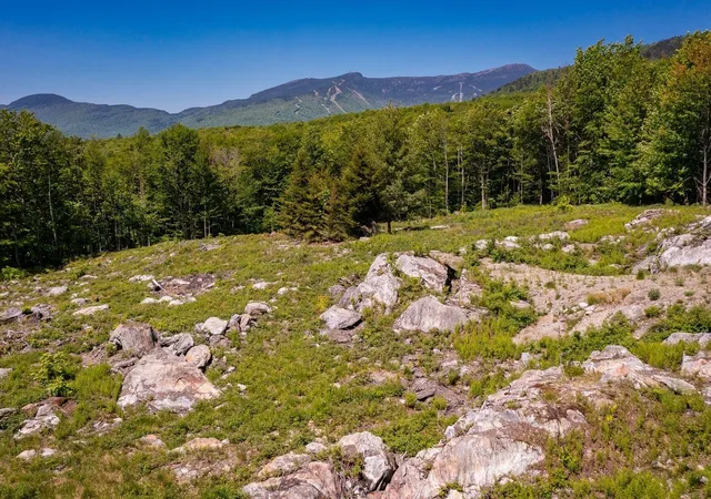 Photo 2 of Sale Pending at 0 Wade Pasture Rd, Stowe, VT 05672 | MLS# 5107126 | Listing updated on 2026-09-05