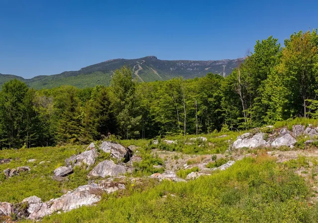 Photo 3 of Sale Pending at 0 Wade Pasture Rd, Stowe, VT 05672 | MLS# 5107126 | Listing updated on 2026-09-05