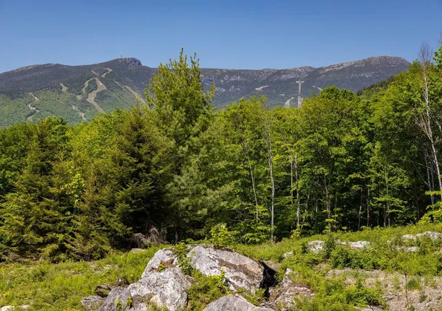 Photo 3 of Sale Pending at 0 Wade Pasture Rd, Stowe, VT 05672 | MLS# 5107126 | Listing updated on 2026-09-05