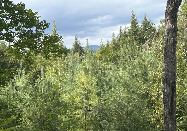 Photo 1 of Land for sale at 0 Stratton Gardens Rd, Winhall, VT 05340 | MLS# 5107127 | Listing updated on 2026-09-17