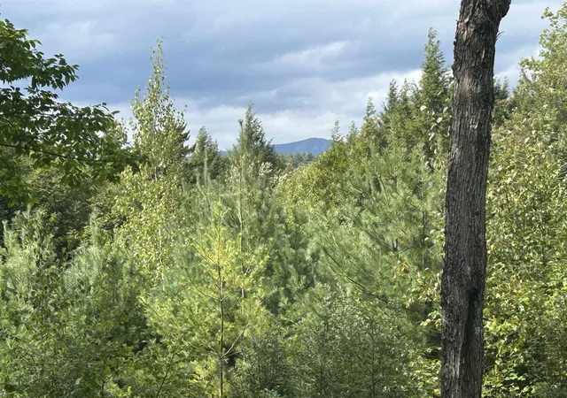 Photo 4 of Land for sale at 0 Stratton Gardens Rd, Winhall, VT 05340 | MLS# 5107127 | Listing updated on 2026-09-17