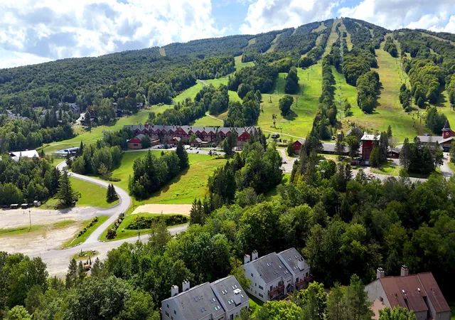 Condo for sale at 11N Snow Tree Ln #Birches N, Dover, VT 05356 | MLS# 5107145