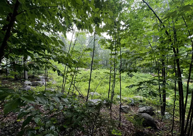 2nd image of 0 Jenness Hill Rd, Meredith, NH 03253 | MLS# 5107163