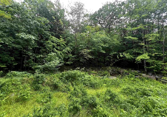 3rd image of 0 Jenness Hill Rd, Meredith, NH 03253 | MLS# 5107163
