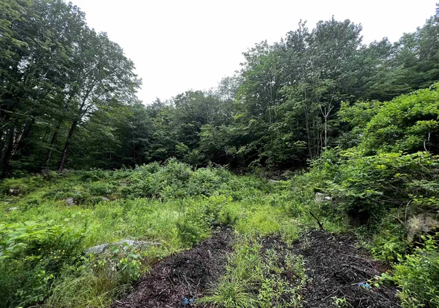 4th image of 0 Jenness Hill Rd, Meredith, NH 03253 | MLS# 5107163