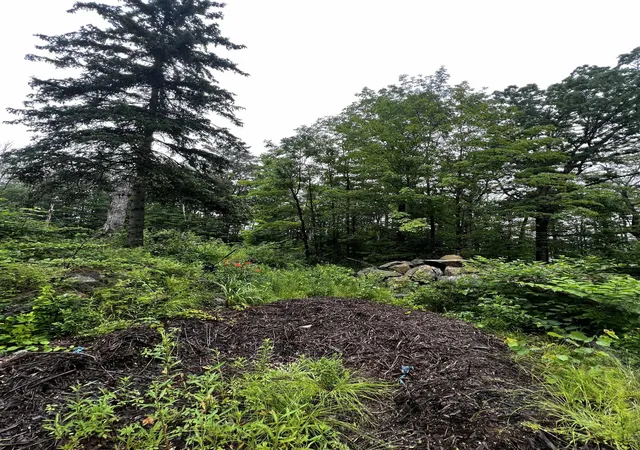 6th image of 0 Jenness Hill Rd, Meredith, NH 03253 | MLS# 5107163