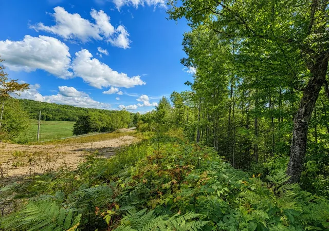 Photo 2 of Land for sale at 00 Burke Hollow Rd, Burke, VT 05871 | MLS# 5107168 | Listing updated on 2026-08-31
