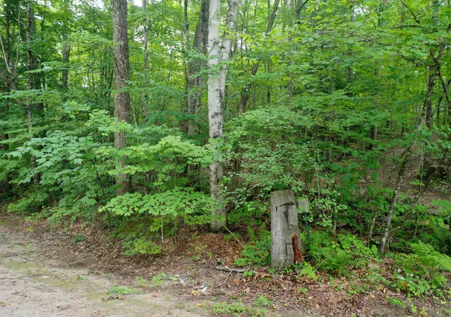 12th image of 0 Guide Board Hill Rd, Webster, NH 03303 | MLS# 5107203