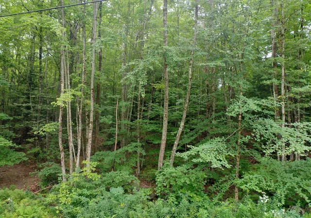 2nd image of 0 Guide Board Hill Rd, Webster, NH 03303 | MLS# 5107203