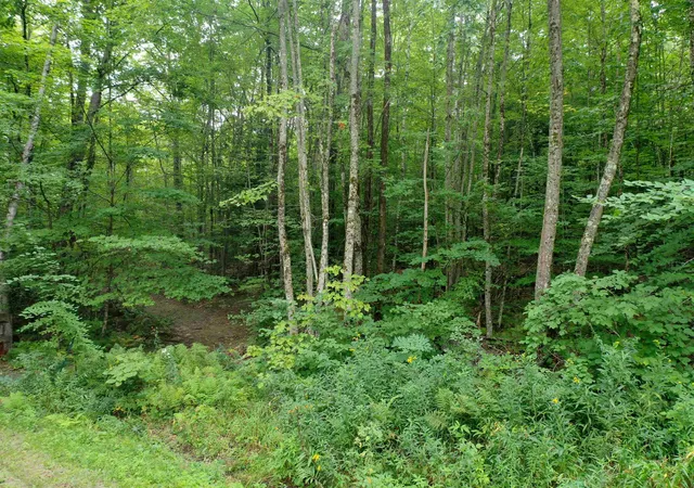 3rd image of 0 Guide Board Hill Rd, Webster, NH 03303 | MLS# 5107203