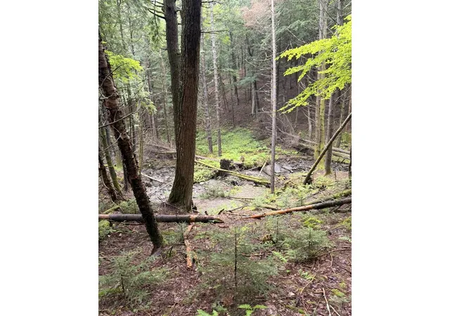 Photo 4 of Land for sale at 00 Wood Rd, Worcester, VT 05682 | MLS# 5107221 | Listing updated on 2026-08-28