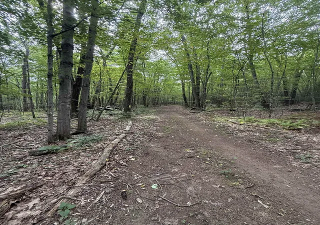 Photo 3 of Land for sale at 21 Chase Rd, Newton, NH 03858 | MLS# 5107257 | Listing updated on 2026-09-16