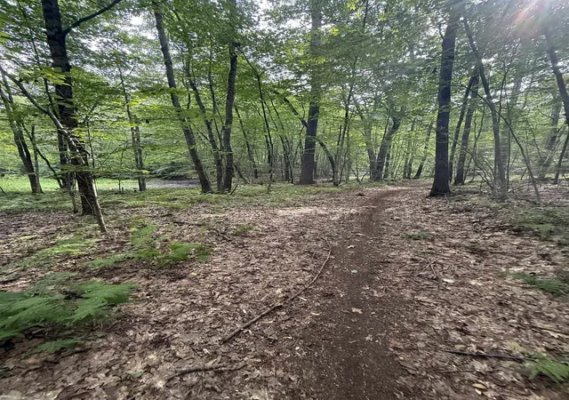 Photo 4 of Land for sale at 21 Chase Rd, Newton, NH 03858 | MLS# 5107257 | Listing updated on 2026-09-16