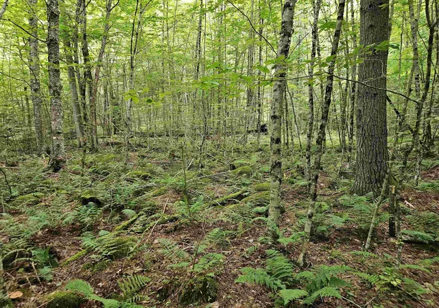 4th image of 00 Valley Rd, Haverhill, NH 03765 | MLS# 5107291