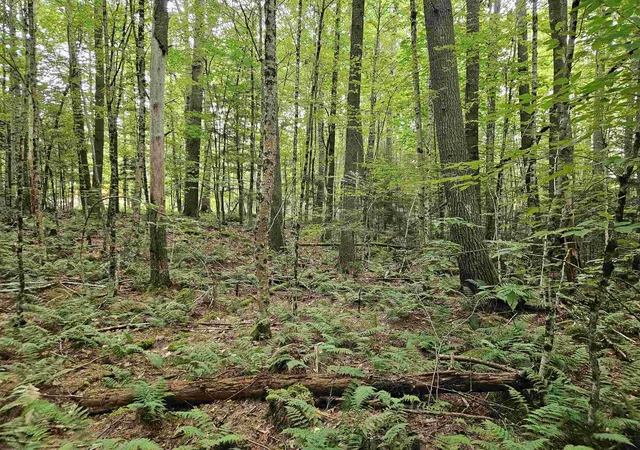 5th image of 00 Valley Rd, Haverhill, NH 03765 | MLS# 5107291