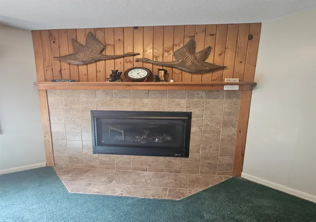 5th image of 164 Deer Park Dr #166C, Woodstock, NH 03262 | MLS# 5107344