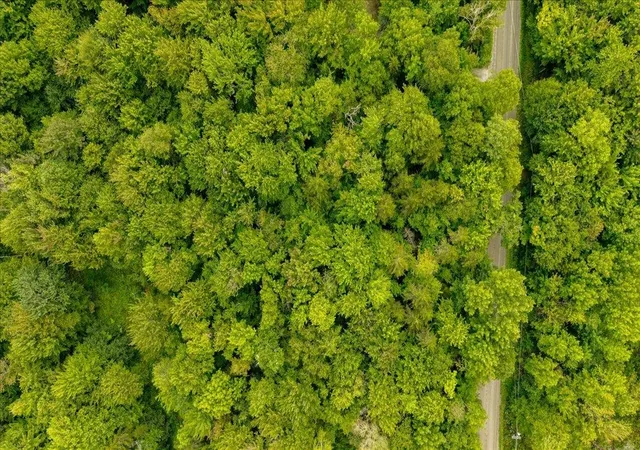 Photo 4 of Land for sale at 1627 Stebbins Rd, Cambridge, VT 05464 | MLS# 5107421 | Listing updated on 2026-09-11
