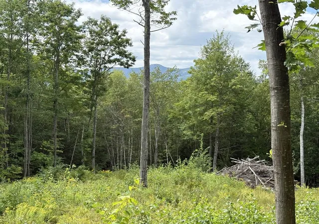 Photo 1 of Land for sale at Perkins Hl Rd, Alexandria, NH 03222 | MLS# 5107436 | Listing updated on 2026-08-31
