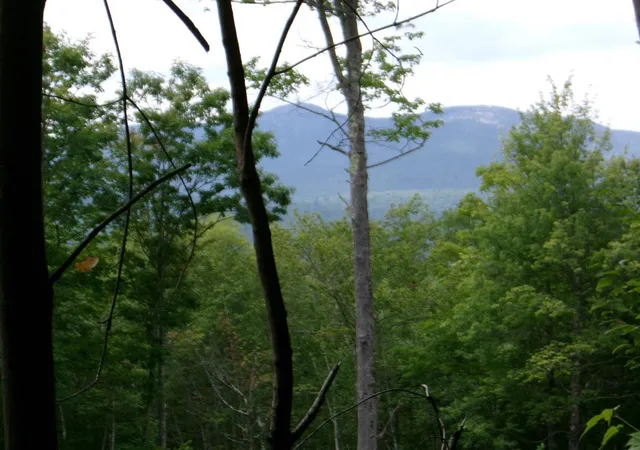 Photo 2 of Land for sale at Perkins Hl Rd, Alexandria, NH 03222 | MLS# 5107436 | Listing updated on 2026-08-31