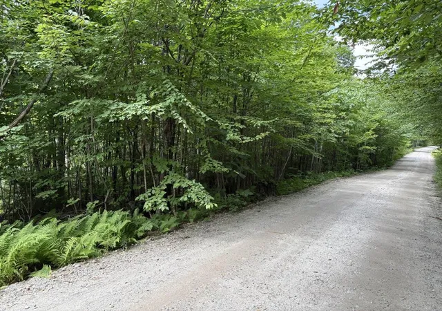 Photo 3 of Land for sale at Perkins Hl Rd, Alexandria, NH 03222 | MLS# 5107436 | Listing updated on 2026-08-31