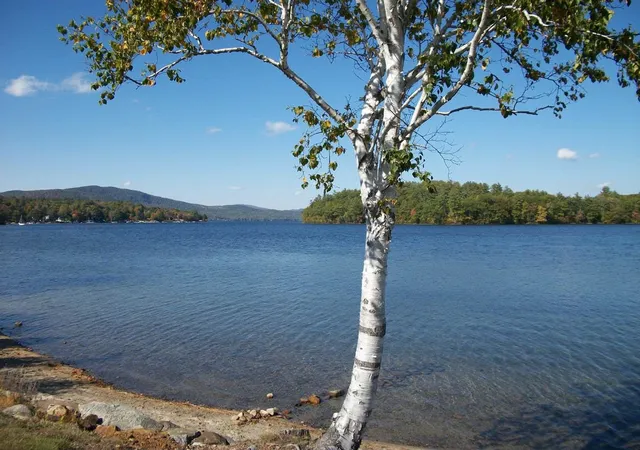 Photo 3 of Land for sale at Perkins Hl Rd, Alexandria, NH 03222 | MLS# 5107436 | Listing updated on 2026-08-31