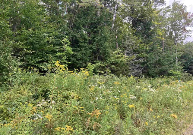 Photo 1 of Land for sale at 925 Porcupine Ln, Wilmington, VT 05363 | MLS# 5107483 | Listing updated on 2026-08-31