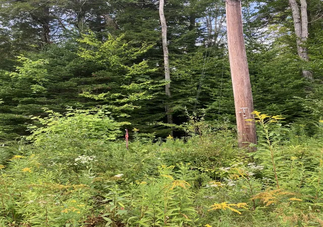 Photo 2 of Land for sale at 925 Porcupine Ln, Wilmington, VT 05363 | MLS# 5107483 | Listing updated on 2026-08-31