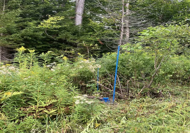 Photo 3 of Land for sale at 925 Porcupine Ln, Wilmington, VT 05363 | MLS# 5107483 | Listing updated on 2026-08-31