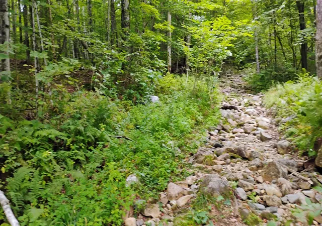 Photo 2 of Sale Pending at Xx Washburn Rd, Orange, NH 03741 | MLS# 5107506 | Listing updated on 2026-09-03