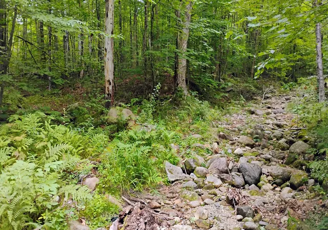 Photo 3 of Sale Pending at Xx Washburn Rd, Orange, NH 03741 | MLS# 5107506 | Listing updated on 2026-09-03