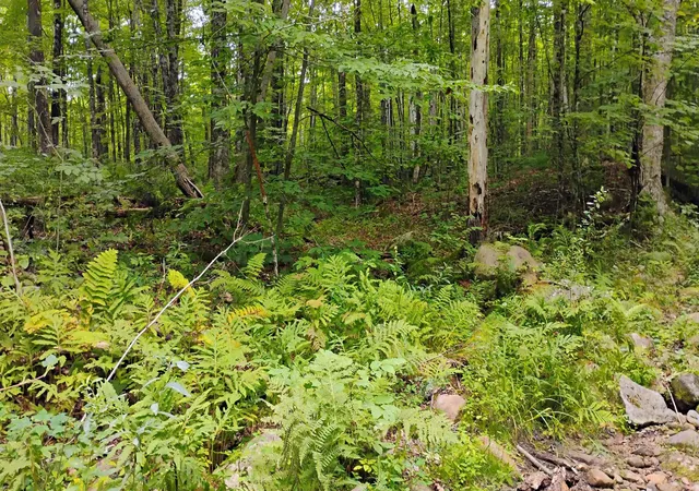 Photo 4 of Sale Pending at Xx Washburn Rd, Orange, NH 03741 | MLS# 5107506 | Listing updated on 2026-09-03