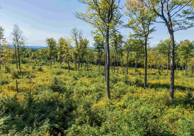 Photo 1 of Land for sale at 177 Cilley Hl Rd, Jericho, VT 05465 | MLS# 5107526 | Listing updated on 2026-09-17