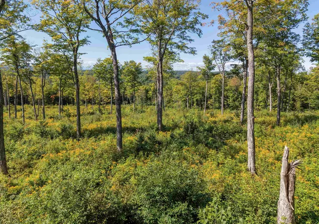 Photo 2 of Land for sale at 177 Cilley Hl Rd, Jericho, VT 05465 | MLS# 5107526 | Listing updated on 2026-09-17