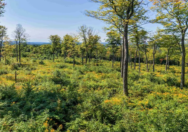 Photo 3 of Land for sale at 177 Cilley Hl Rd, Jericho, VT 05465 | MLS# 5107526 | Listing updated on 2026-09-17