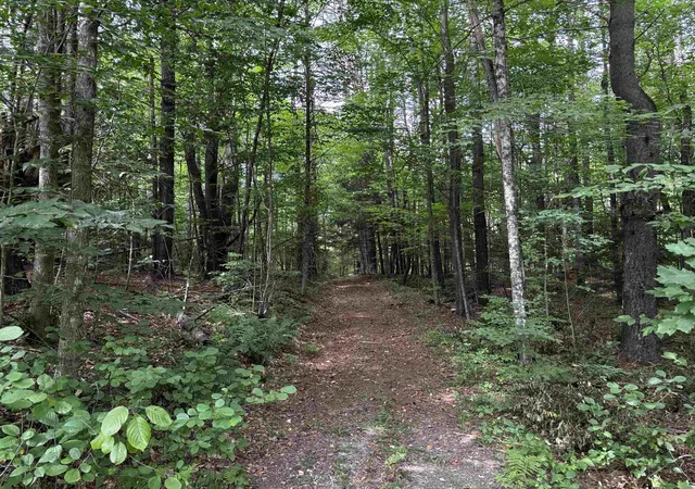 Land for sale at 40 E Putney Brk Rd, Putney, VT 05346 | MLS# 5107534
